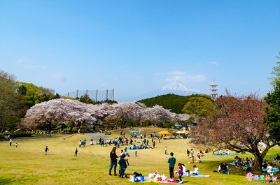 🏞️ 이와모토야마 공원 (岩本山公園) 이미지 2